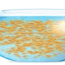 금붕어PC 이미지