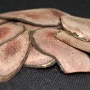 진솔한의원 이미지