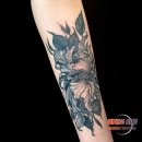 수원-0654 이미지