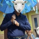 전주푸른솔펜션 이미지