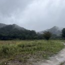 박달나무쉼터 옆 이미지