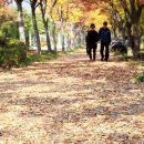 창원광장 앞 중앙대로 이미지