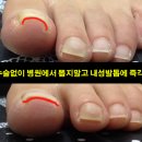 효니스터치 이미지