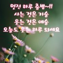 가을 글귀 이미지 이미지