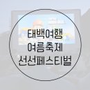 태백화랑 | 태백 축제 선선 페스티벌 개막식 + 황지연못 체험존 + 쿨시네마 슈퍼마리오 후기