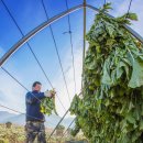 금소공동체 이미지