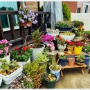 밀라노펜션 이미지