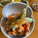 태양 동물병원 | 8월 둘째주 일상 울지 말고 강해져라 그게 내 목표다