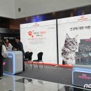 백남수동물병원 이미지