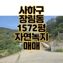 사하구 다산로208번길 | 부산 사하구 장림동 1500평 토지 매매
