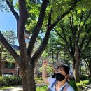 메아리마을 이미지