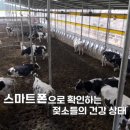 우일목장 이미지