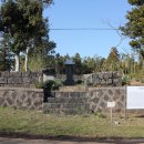 의사오흥태지려 이미지