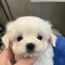 프불하우스 이미지