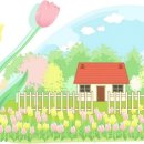 중앙성당 이미지