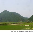 월탄1리 이미지
