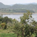 대장금마실길(3코스) 이미지