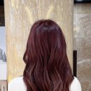 선영프라자 이미지