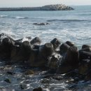 바다생각 이미지