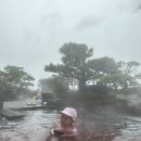 뽑자오빠 이미지