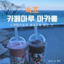마루펜션 | 대포항카페 카페마루마카롱 음료 포장후기