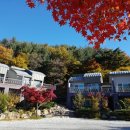 샾 펜션 이미지