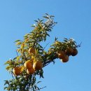 관산리마을회관 이미지