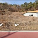 남해-175 이미지