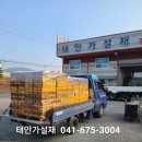 대산가설재