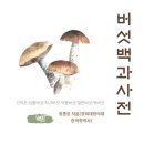 산약초에 대한 이해 이미지