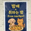 [대구-중구 술집 밤애] 맛있는 안주 | 다양한 술 | 조용한 분위기 | 고양이 있는 마당