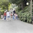 자연나라숲속유치원 이미지