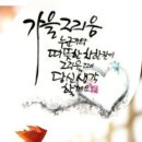 토닥토닥 이미지