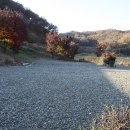 지내울 야영장 이미지