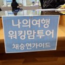 채승연 | 아이랑 일본여행 후쿠오카 동물원 워킹맘투어 준비사항 및 꿀팁