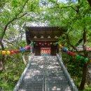 백양산 애진봉 이미지