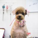 가위랑뽀글이