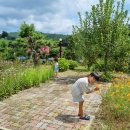 안골목장 이미지