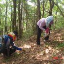 숨겨진 산, 억산(億山, 944m) 이미지