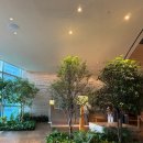 파크하얏트부산 세탁실 | 부산 살지만 여기서 하루는 꼭 자야 한다… 파크하얏트 부산 오션뷰 솔직 후기