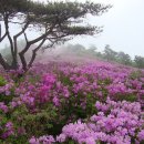 일림산장 이미지