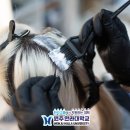 생활미용(헤어디자인) 이미지