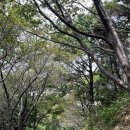 황령산 바람고개 | 부산 조망좋은 산, 황령산 산행(남구도서관~바람고개~사자봉~봉수대~정상~황령산로~대연역 구간)