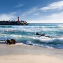 만물자원 이미지