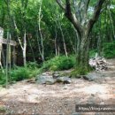 삼용농장 이미지