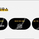 레오랩스