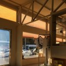 나무사이로 이미지