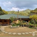 들꽃이야기 | 원주 '들꽃이야기' 솔직 후기: 토토미 누룽지 커피, 정말 맛있을까? (아쉬웠던 점 포함)