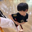 용인대블랙벨트센터 이미지