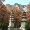 동학사약국 이미지